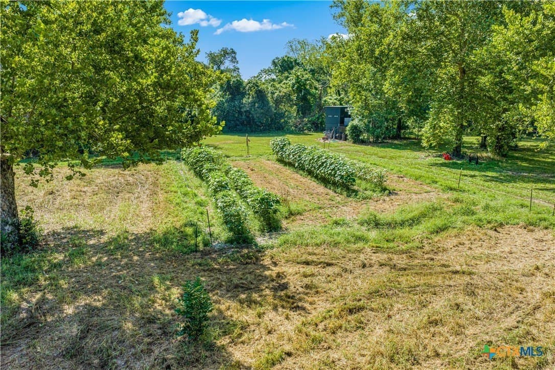 54.34 acres in Victoria County - photo 35