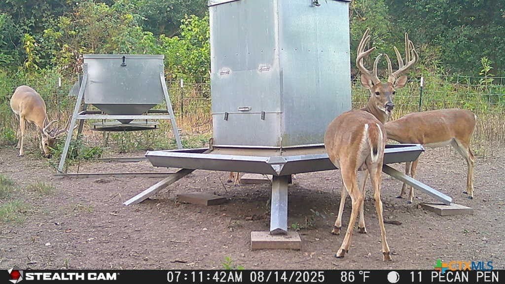 54.34 acres in Victoria County - photo 17