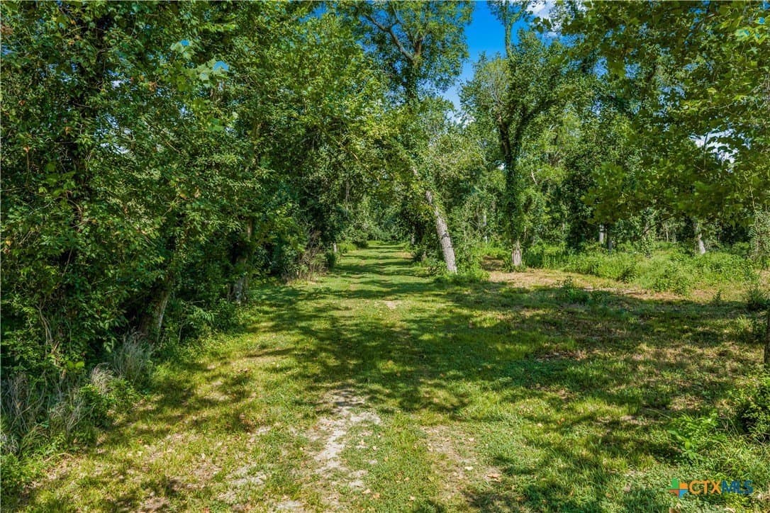 54.34 acres in Victoria County - photo 37