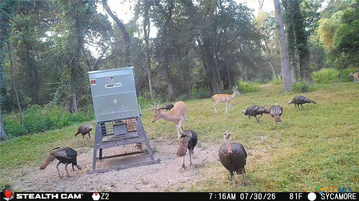 54.34 acres in Victoria County - photo 25