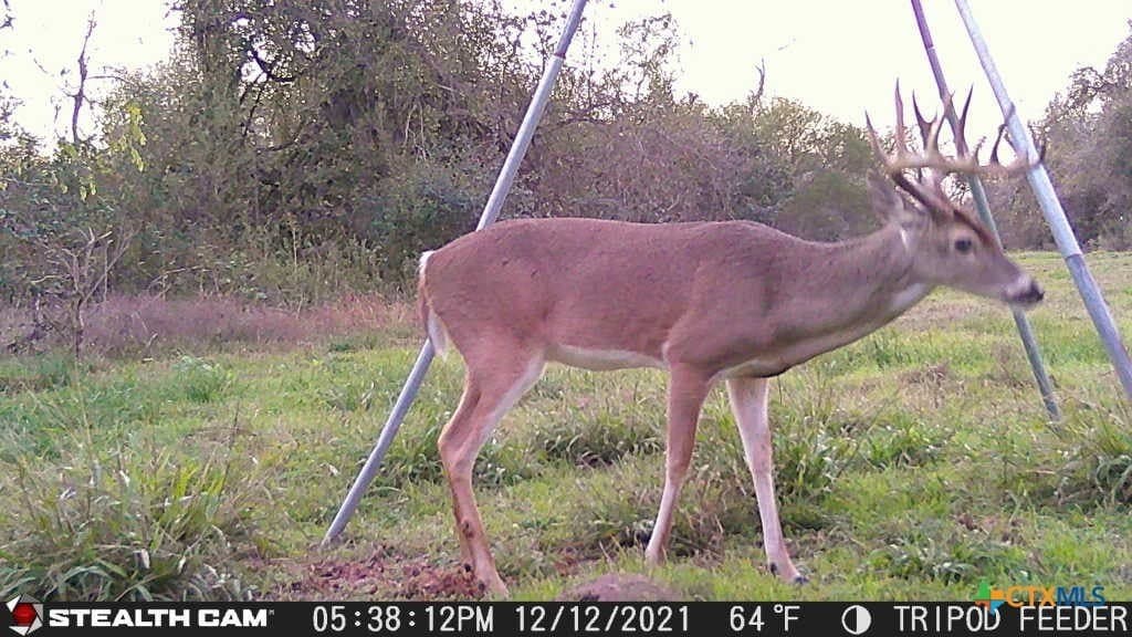 54.34 acres in Victoria County - photo 10