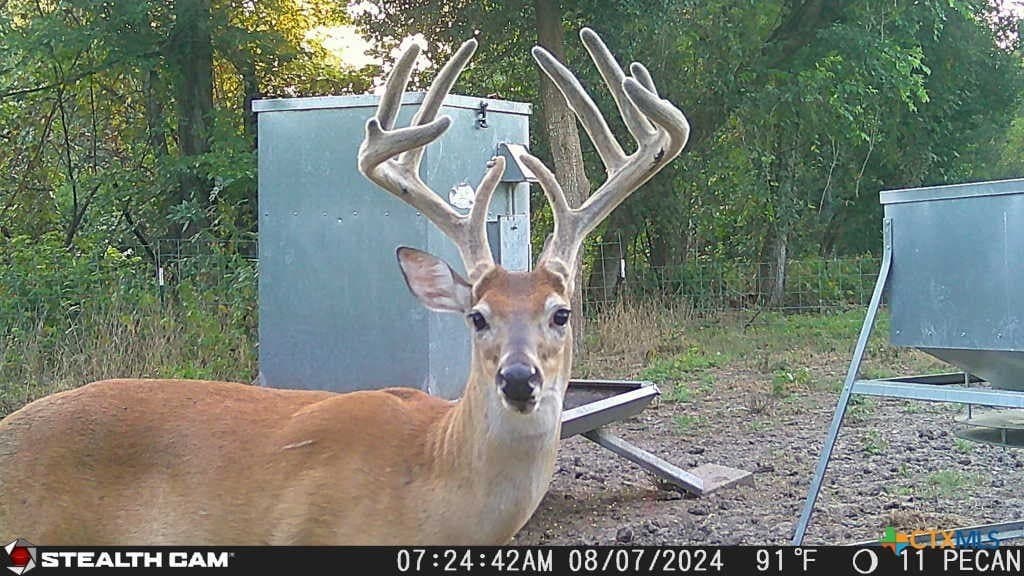 54.34 acres in Victoria County - photo 4