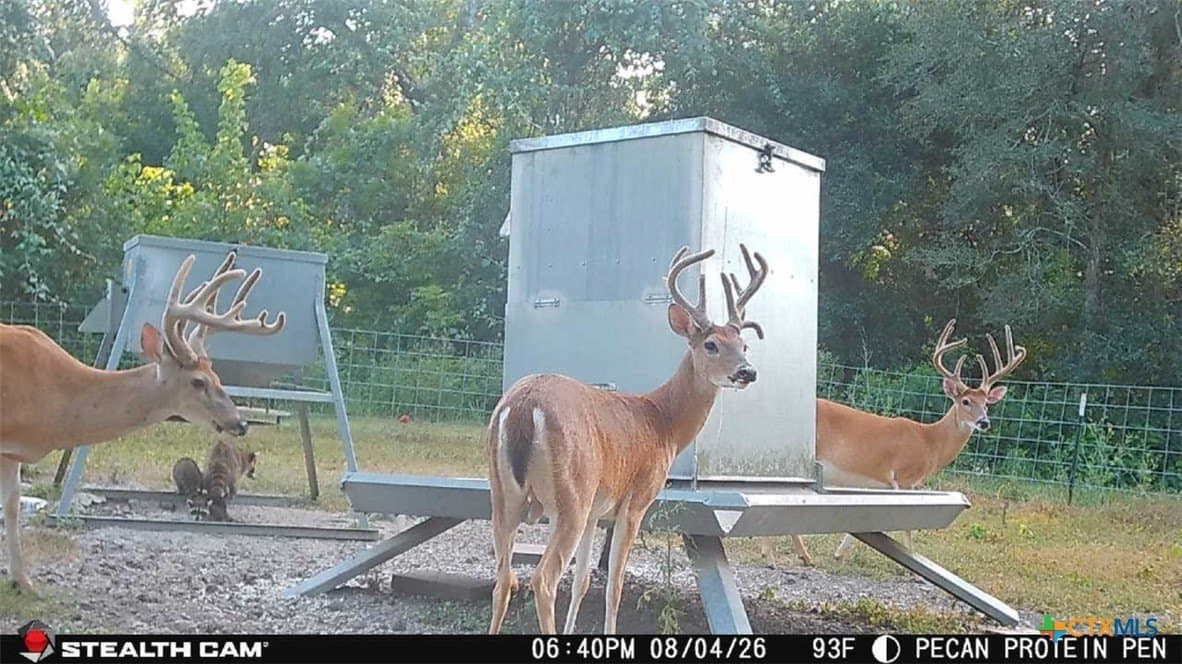 54.34 acres in Victoria County - photo 14