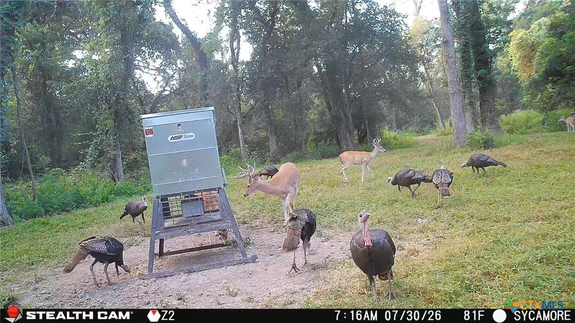 54.34 acres in Victoria County - photo 8