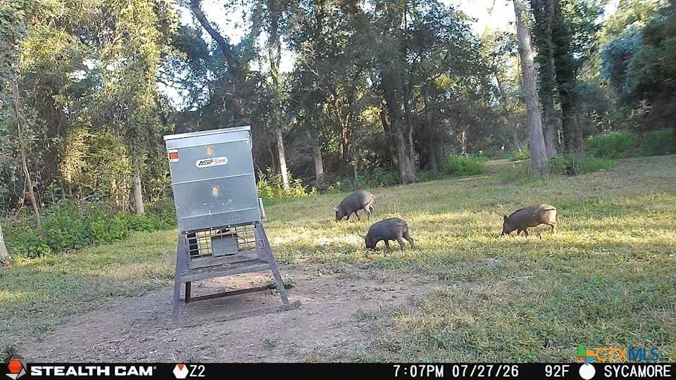 54.34 acres in Victoria County - photo 26