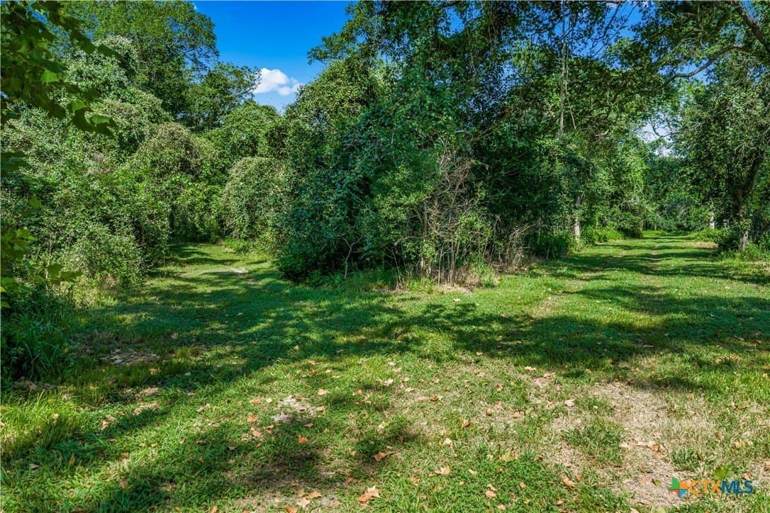 54.34 acres in Victoria County - photo 38