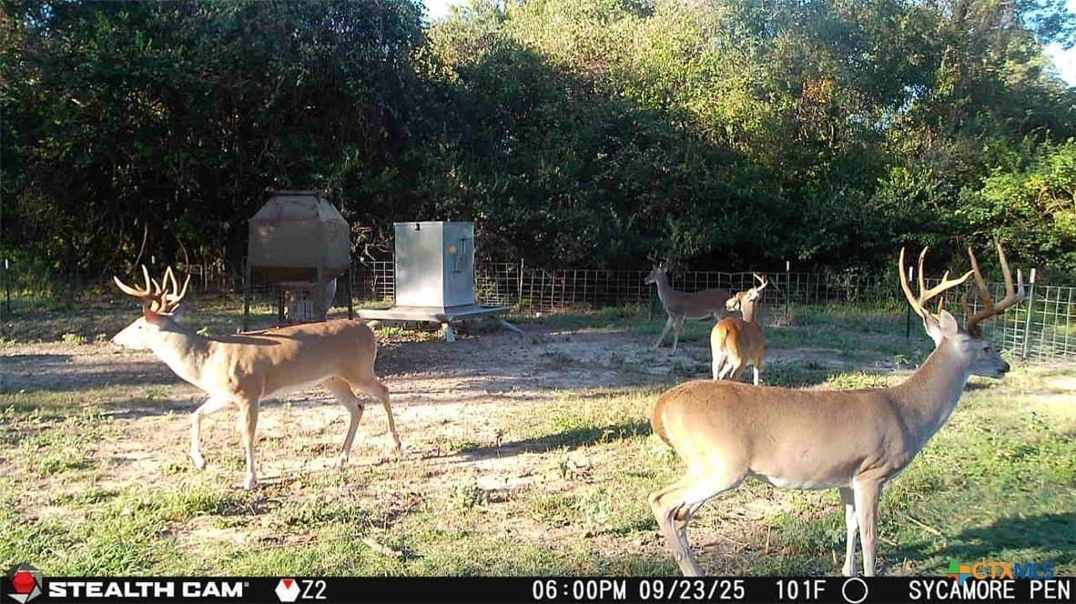 54.34 acres in Victoria County - photo 20
