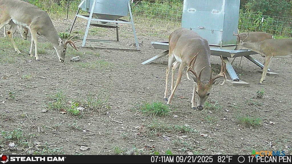 54.34 acres in Victoria County - photo 19