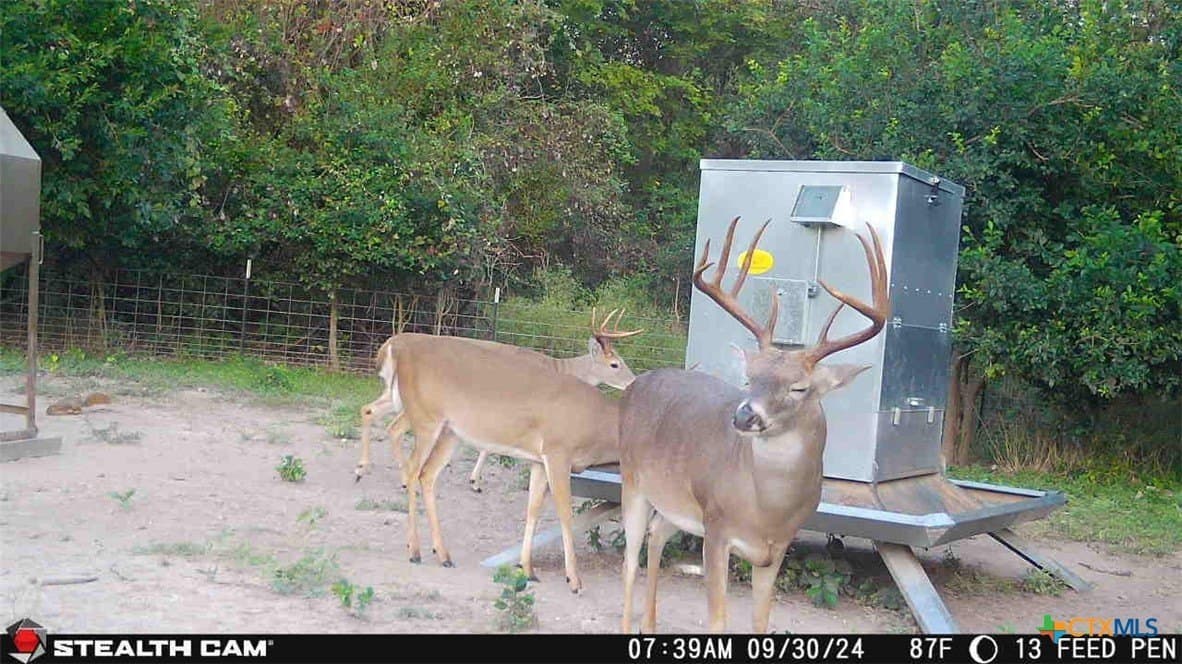 54.34 acres in Victoria County - photo 23