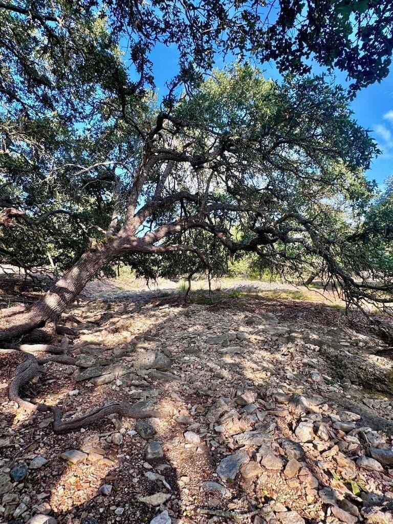 4.26 acres in Kendall County - photo 19