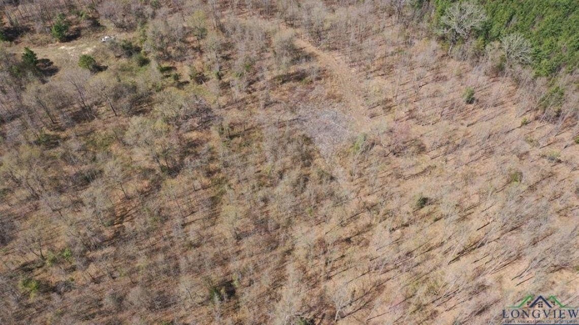 35.42 acres in Cass County gallery image 3
