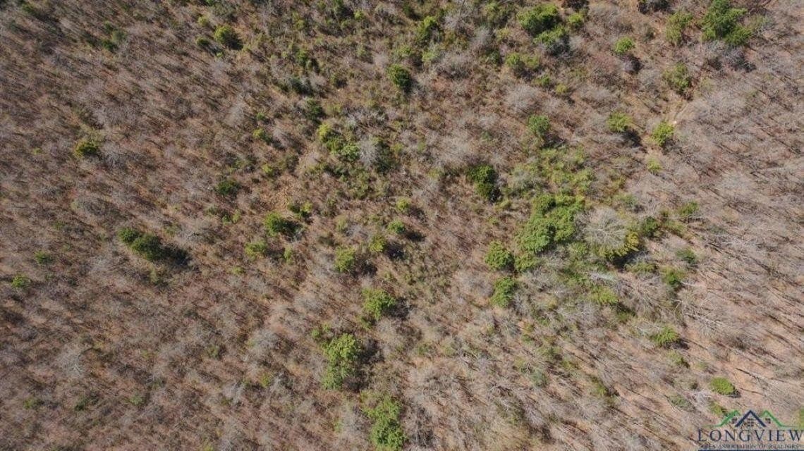 35.42 acres in Cass County gallery image 4