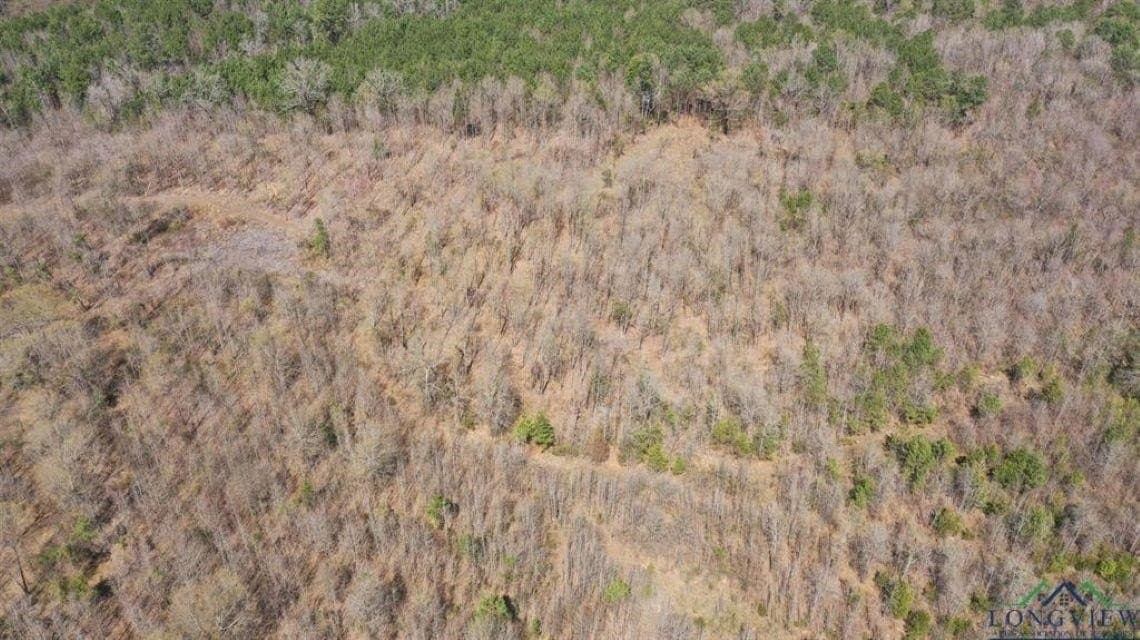 35.42 acres in Cass County gallery image 2