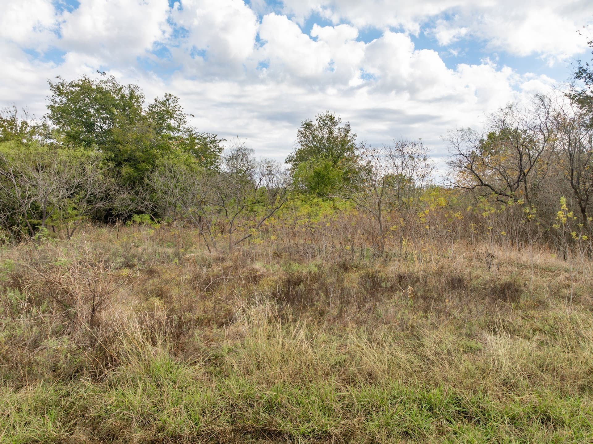 0.14 acres in Hill County - photo 5