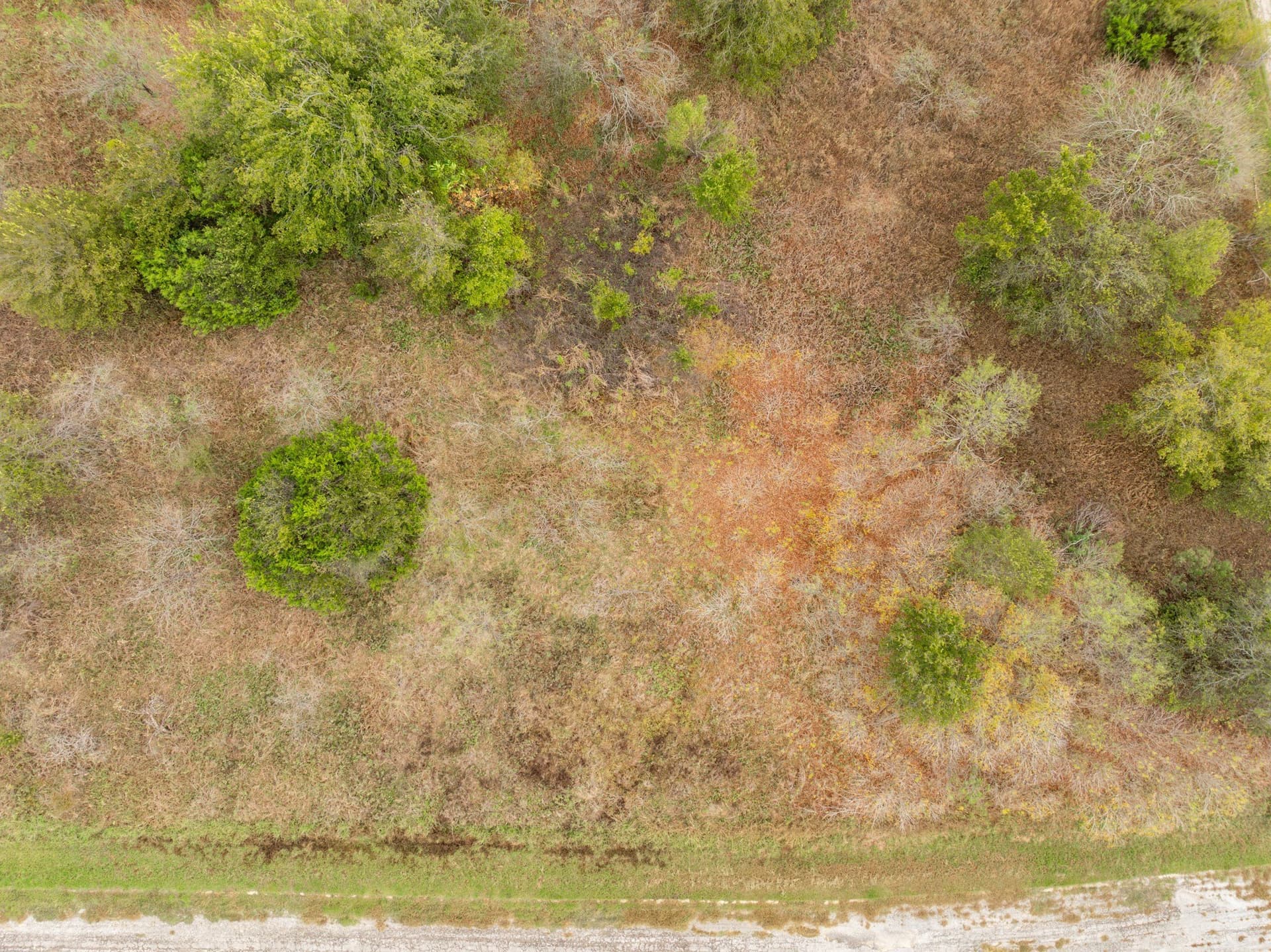0.14 acres in Hill County - photo 4