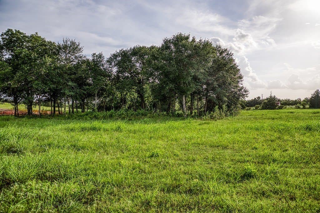 2.44 acres in Washington County - photo 6