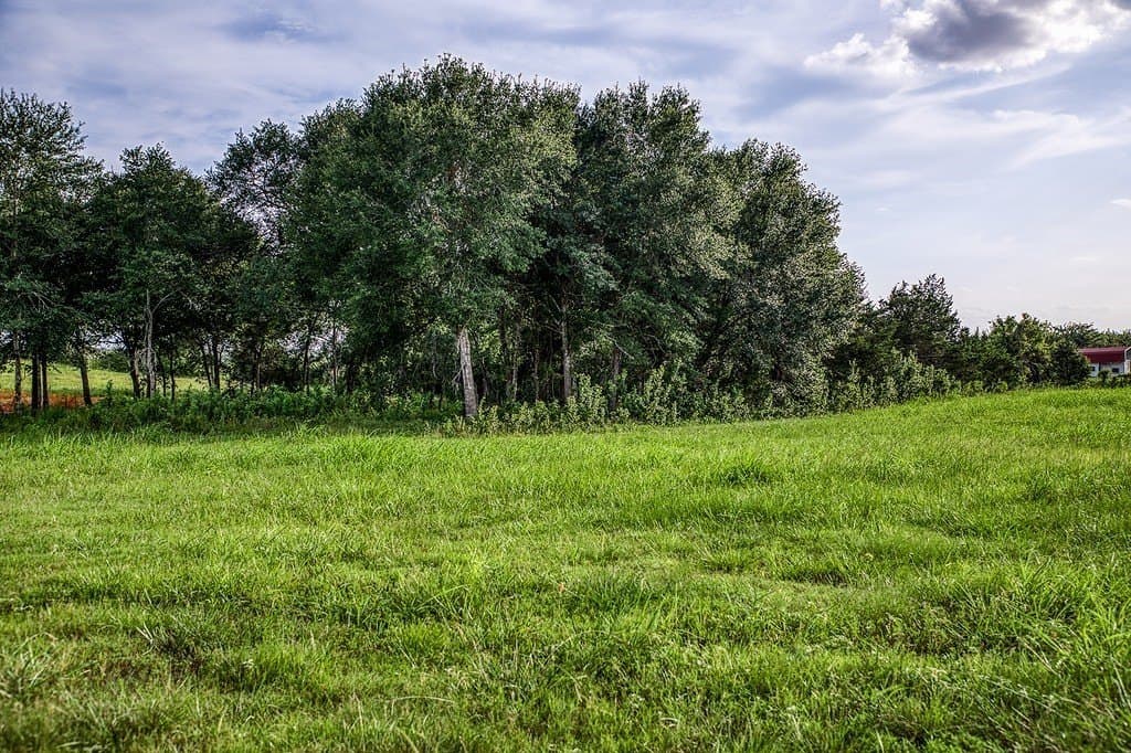 2.44 acres in Washington County - photo 5