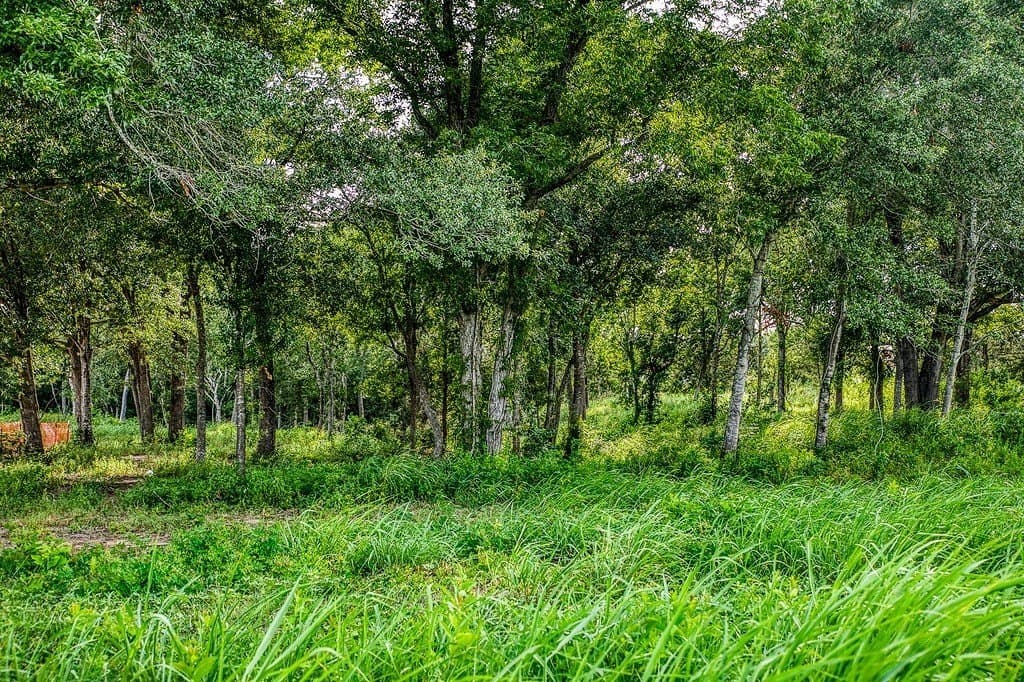 2.44 acres in Washington County - photo 7