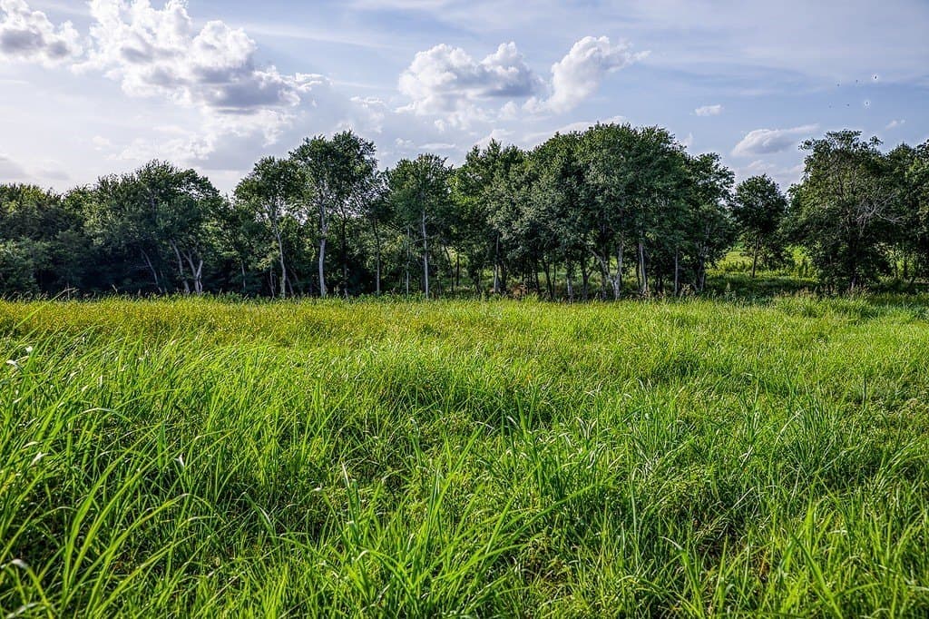 2.44 acres in Washington County - photo 4