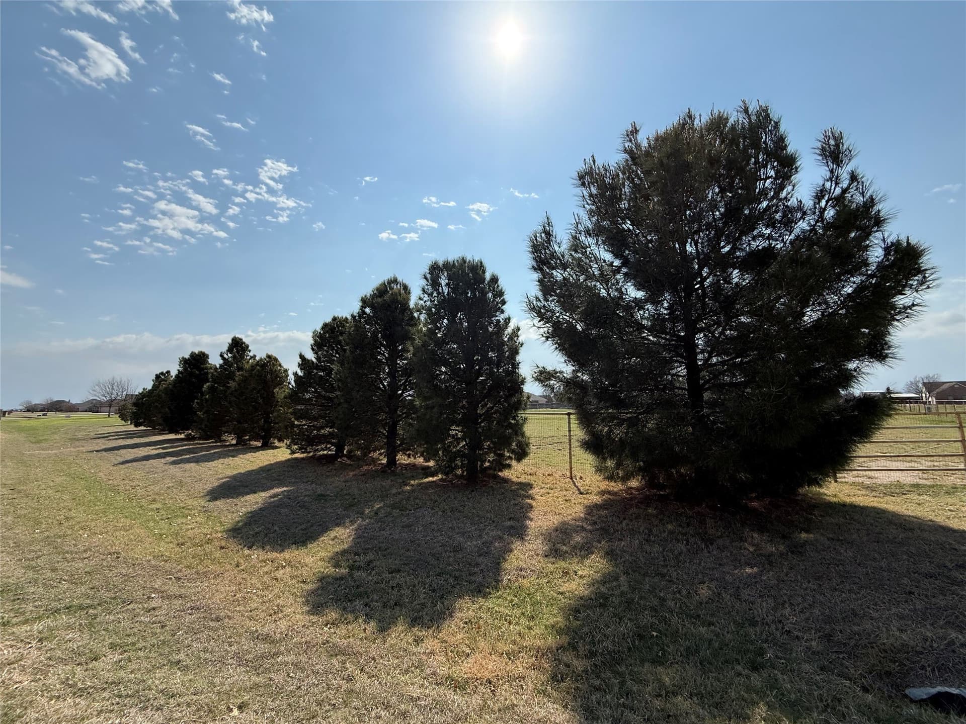 1.02 acres in Taylor County - photo 3