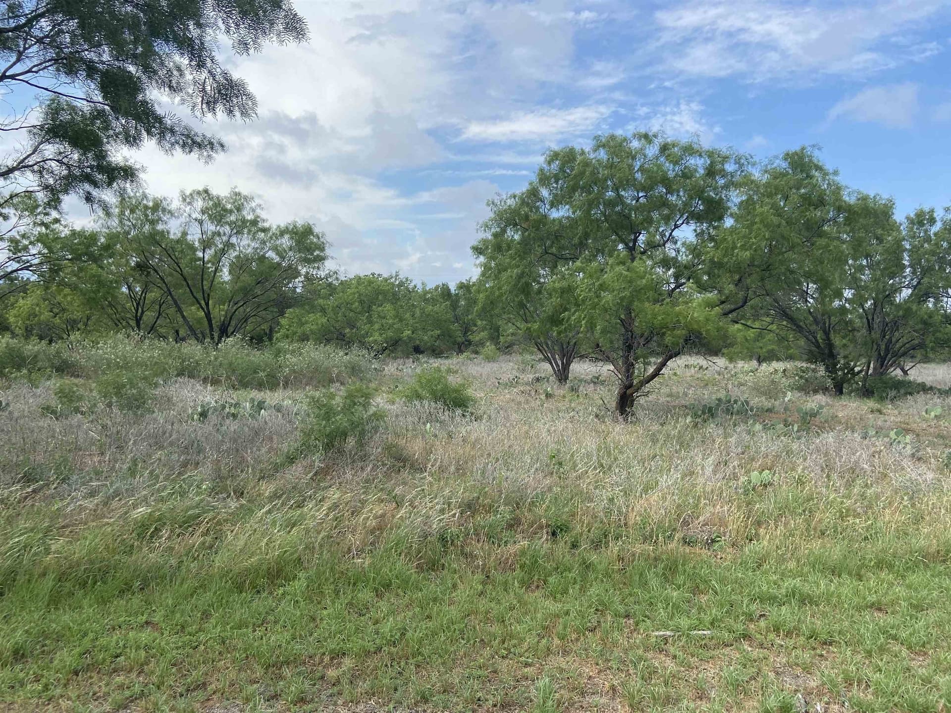 1.8 acres in Burnet County gallery image 3