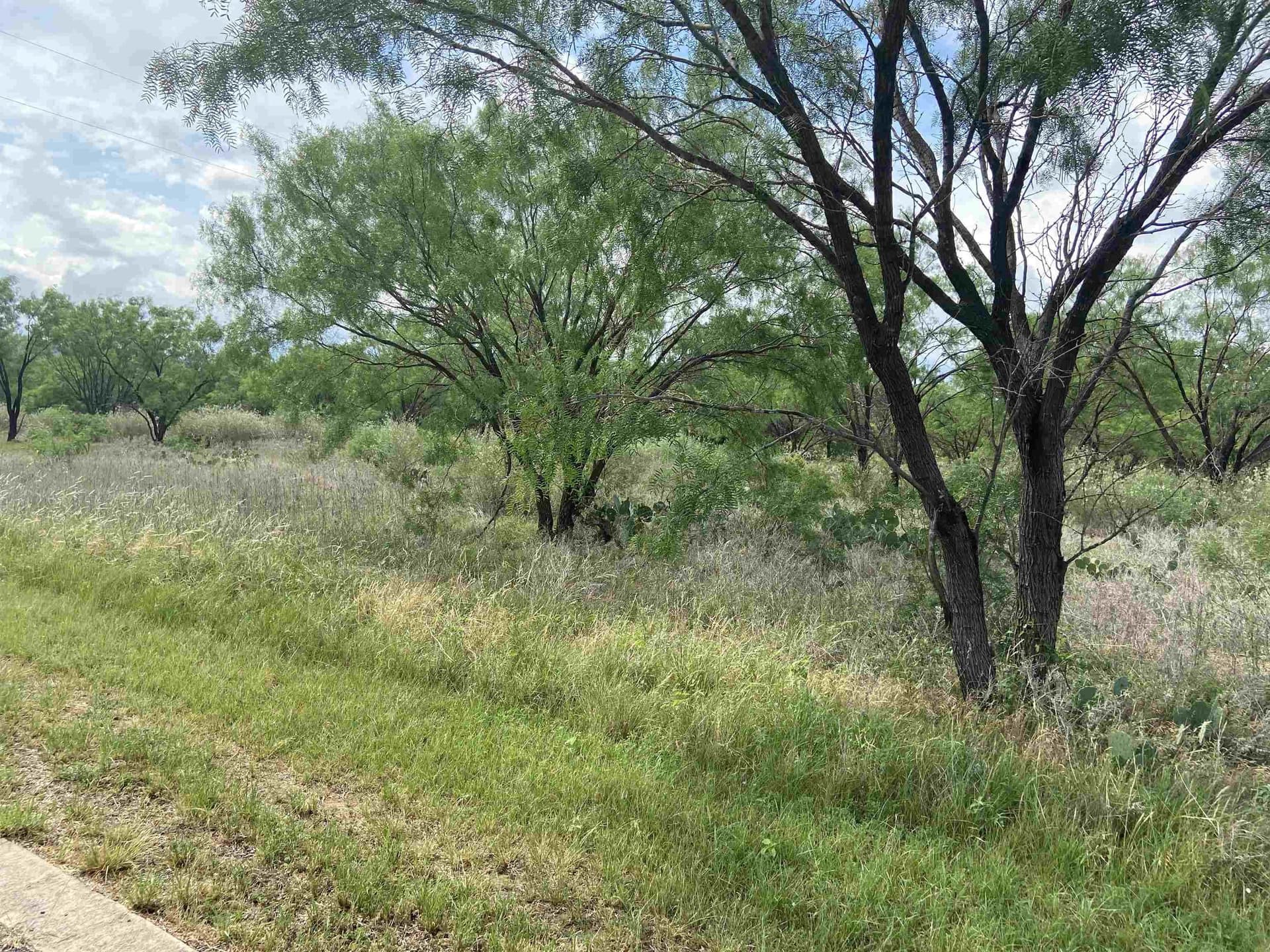 1.8 acres in Burnet County - photo 8