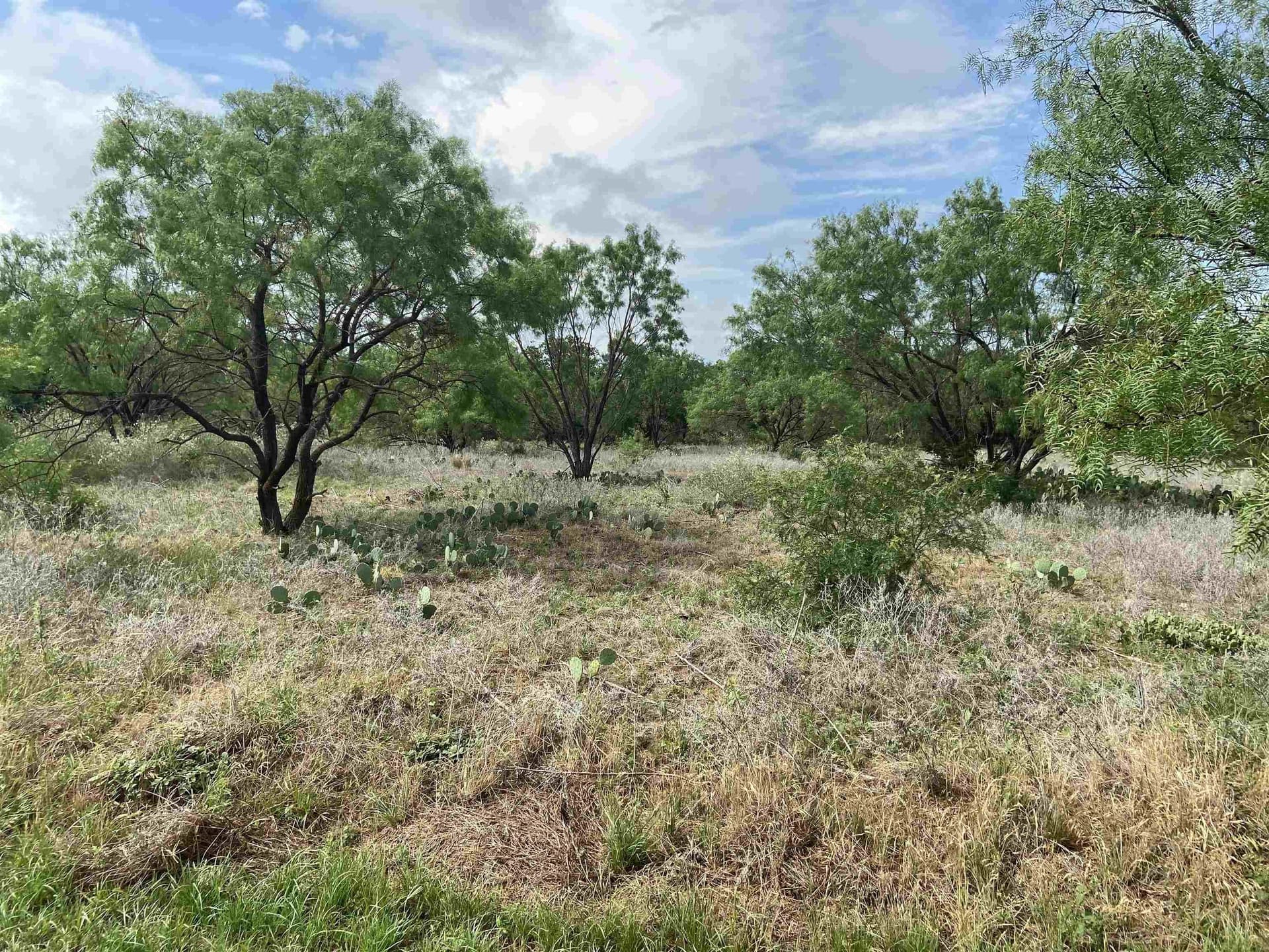 1.8 acres in Burnet County featured view