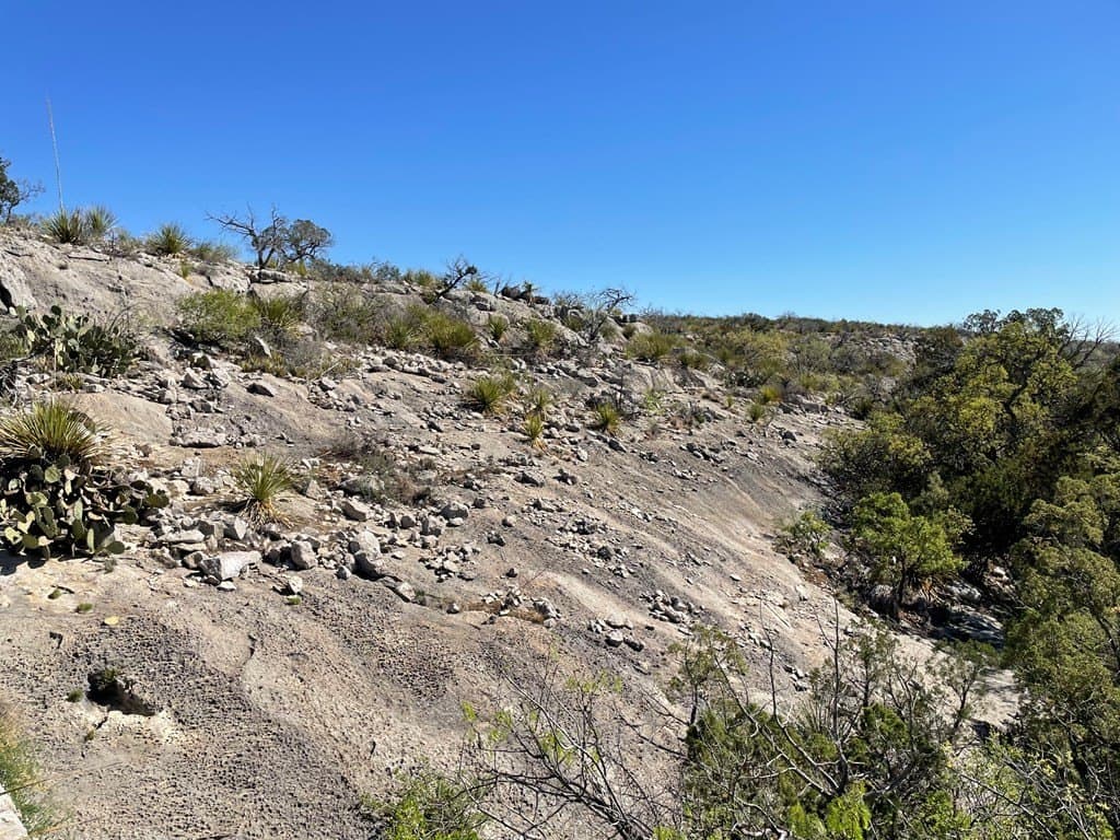 415 acres in Terrell County - photo 19