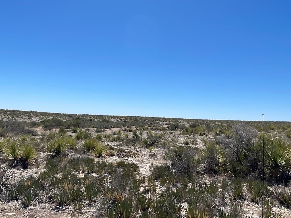 415 acres in Terrell County - photo 23