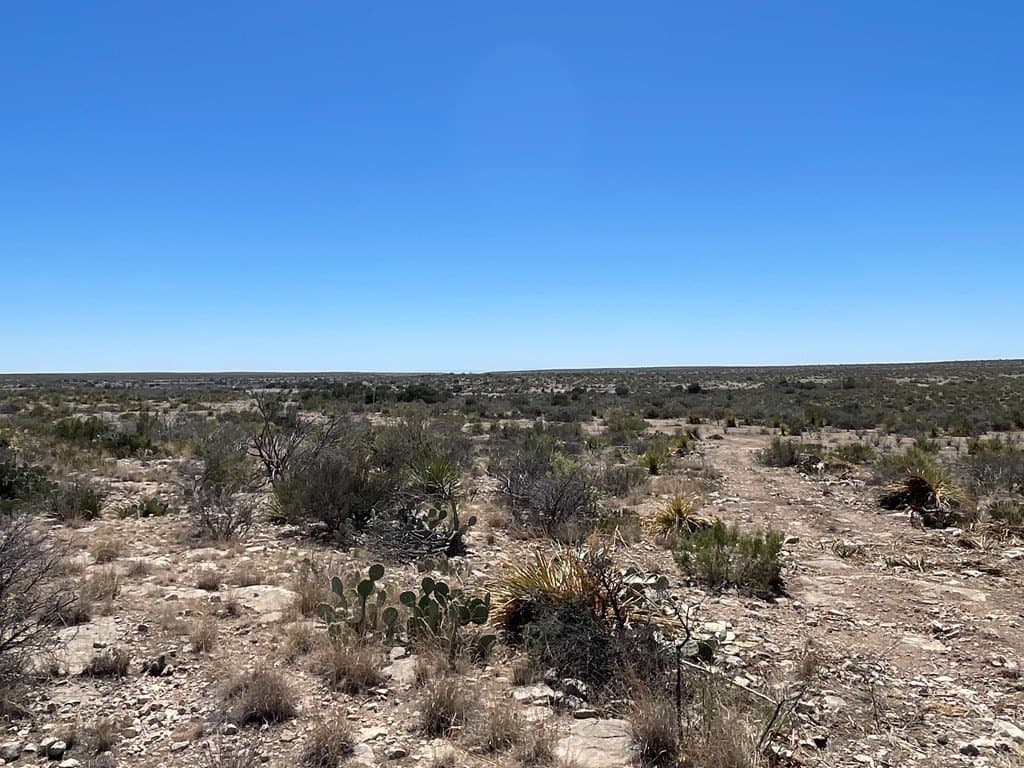 415 acres in Terrell County - photo 22