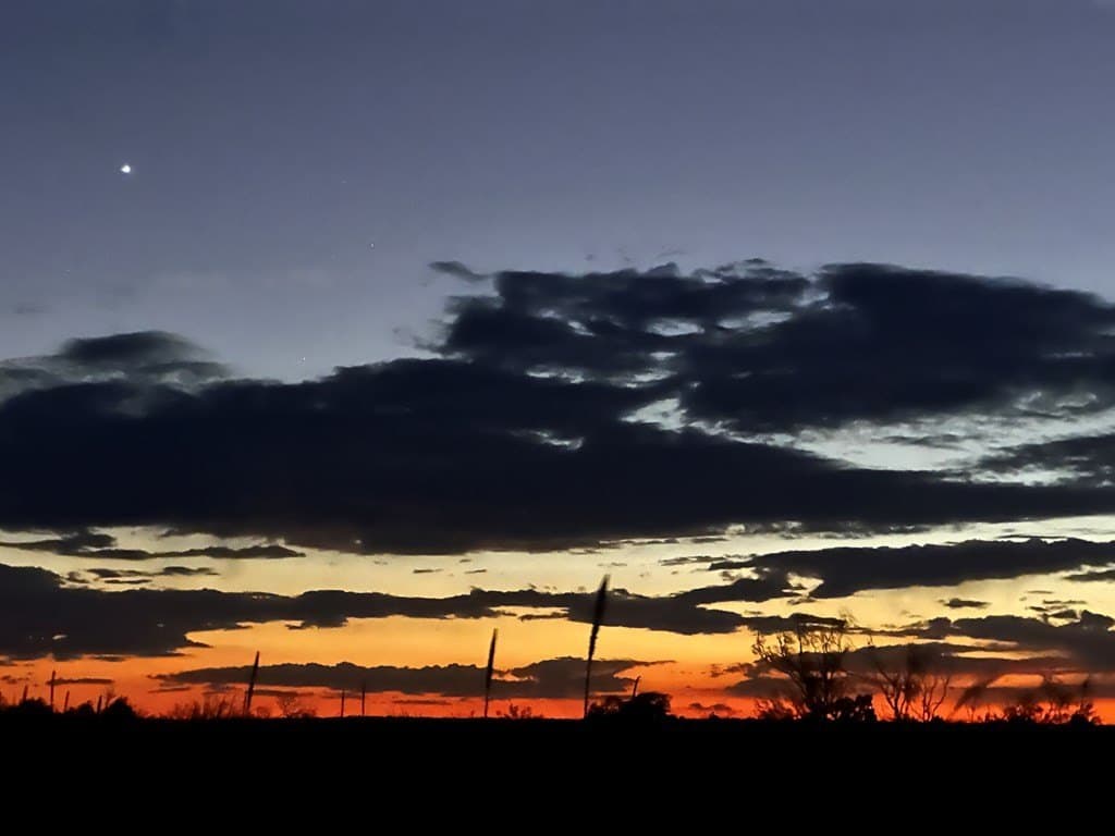 415 acres in Terrell County - photo 12