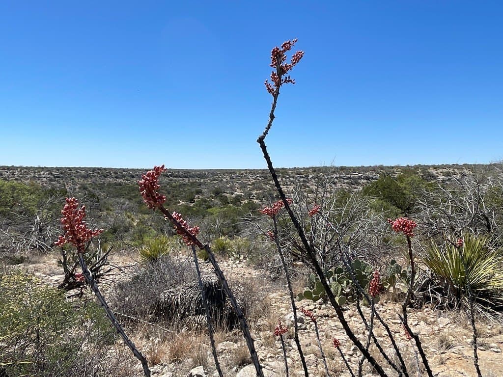 415 acres in Terrell County - photo 21