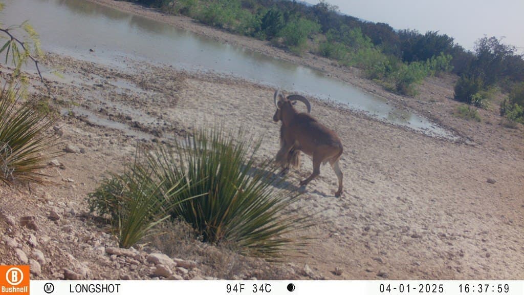 415 acres in Terrell County - photo 10