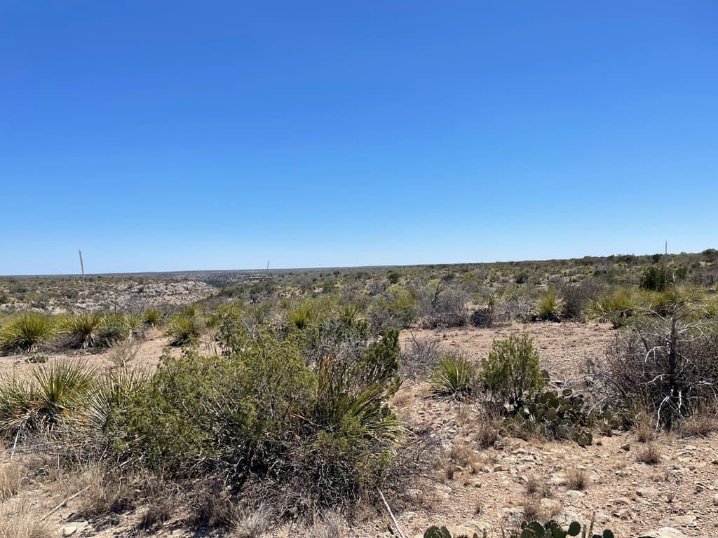 415 acres in Terrell County - photo 20