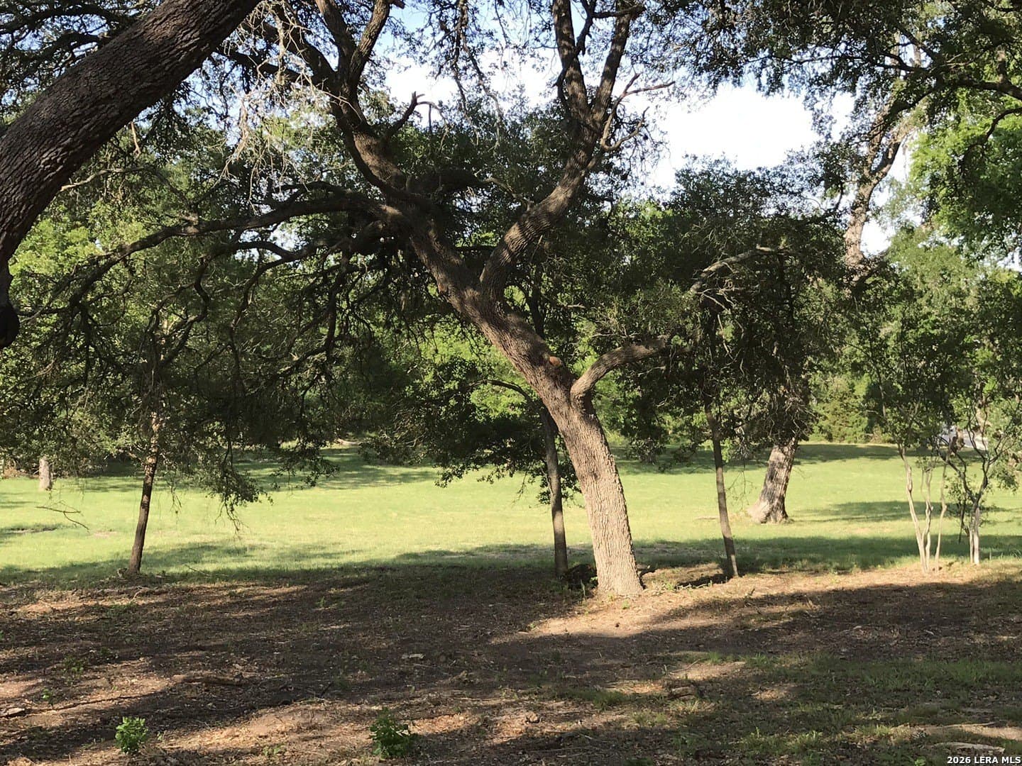 1.1 acres in Bexar County gallery image 2