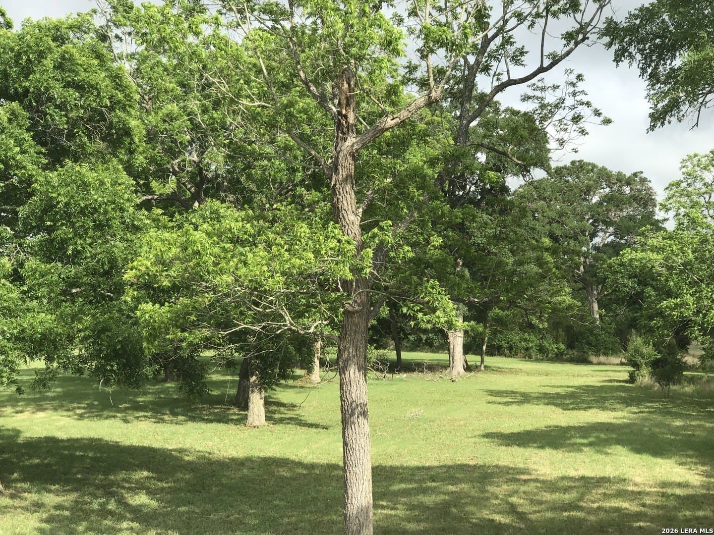 1.1 acres in Bexar County gallery image 4