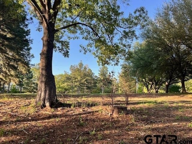 0.51 acres in Titus County - photo 9