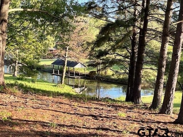 0.51 acres in Titus County - photo 10