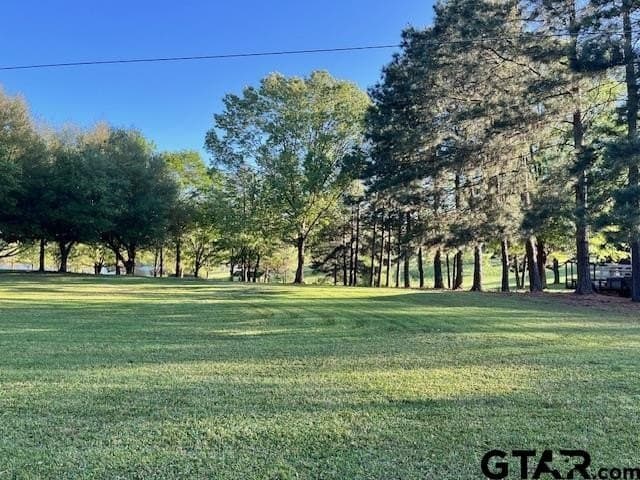 0.51 acres in Titus County - photo 11