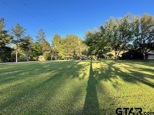 0.51 acres in Titus County - photo 7