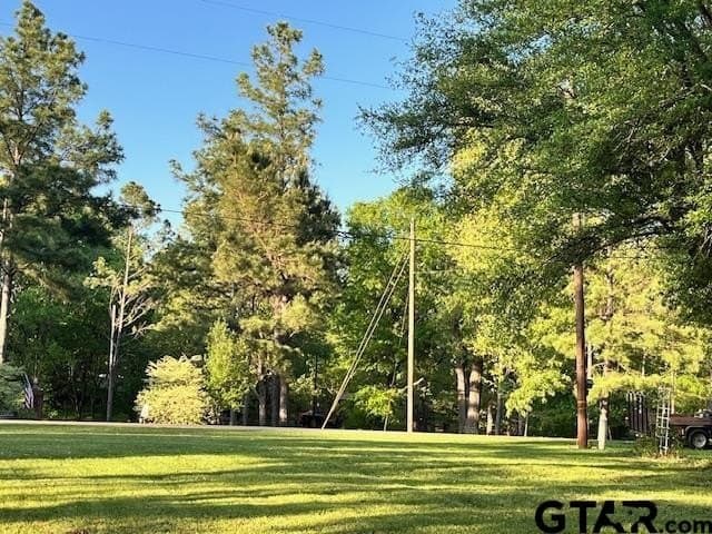 0.51 acres in Titus County - photo 13