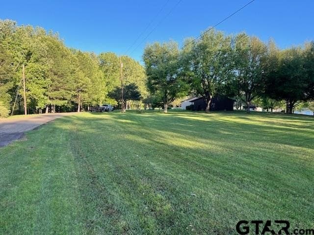 0.51 acres in Titus County - photo 8