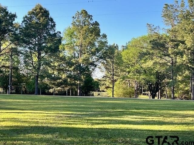 0.51 acres in Titus County - photo 12