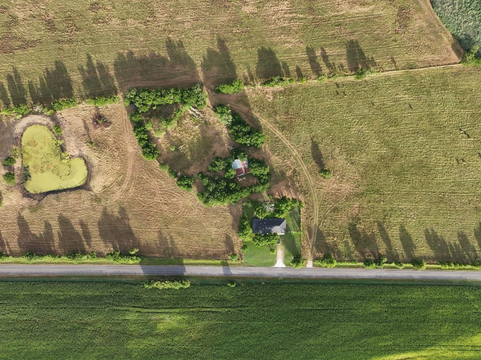 44.22 acres in McLennan County - photo 5