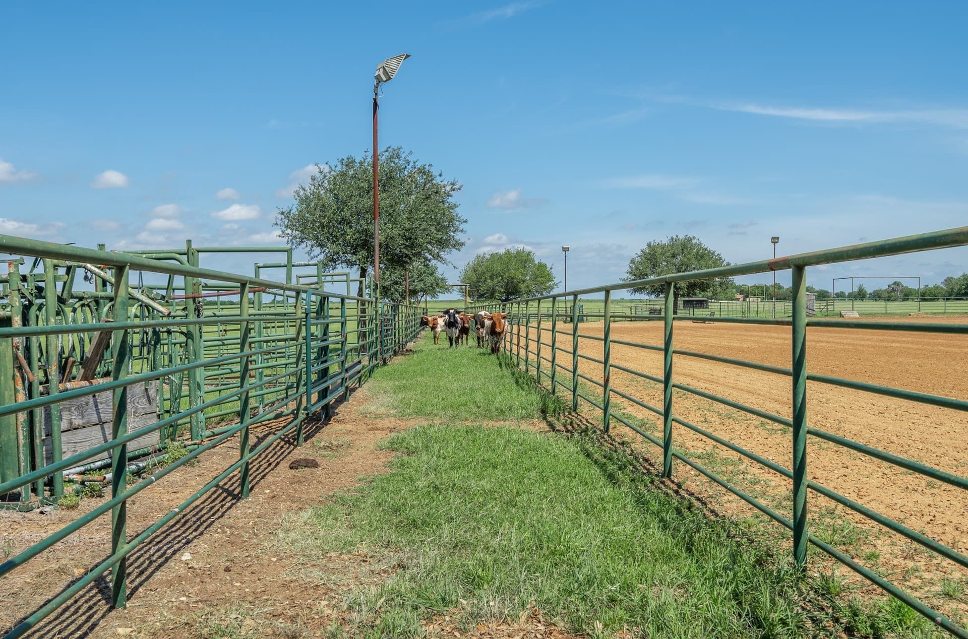 119.84 acres in McLennan County - photo 9