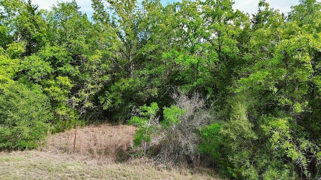 7.7 acres in Lee County - photo 6