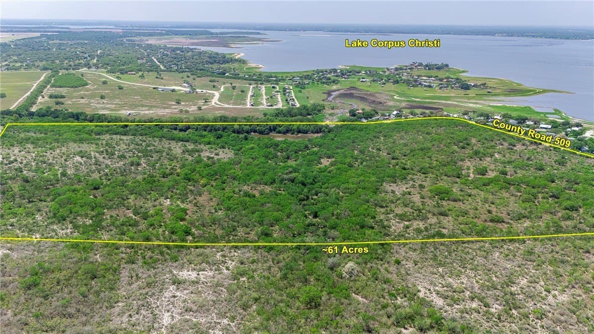 60 acres in San Patricio County gallery image 4