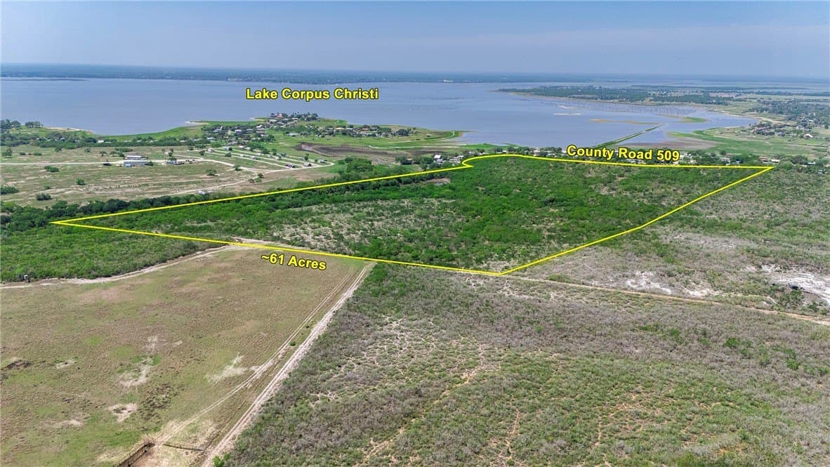 60 acres in San Patricio County gallery image 2