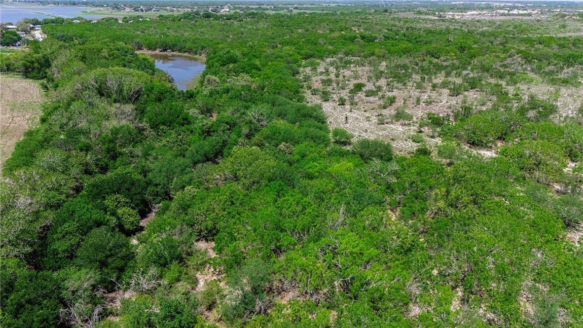 60 acres in San Patricio County - photo 18