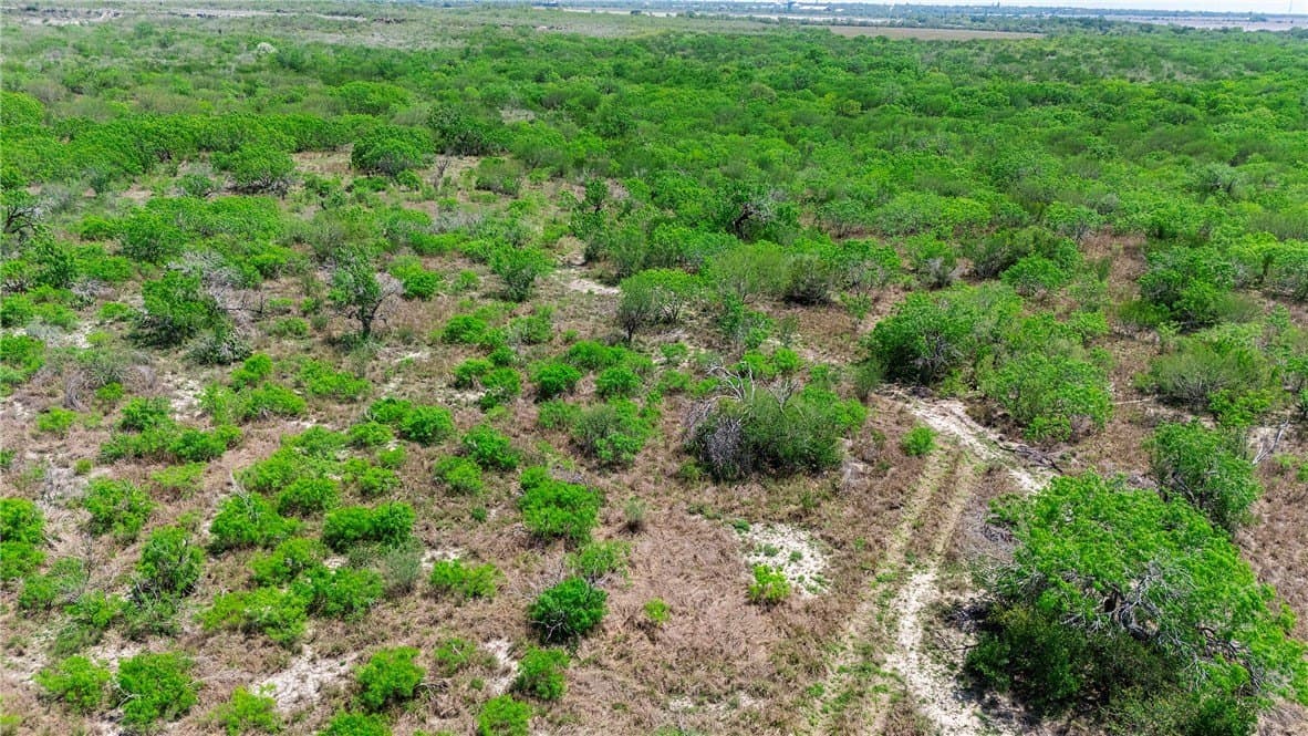 60 acres in San Patricio County - photo 13